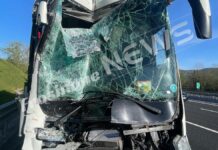 Incidente sull’A1 coinvolge scolaresca di Frosinone in gita, i piccoli sono tornati a casa