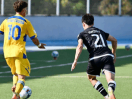 Frosinone primavera
