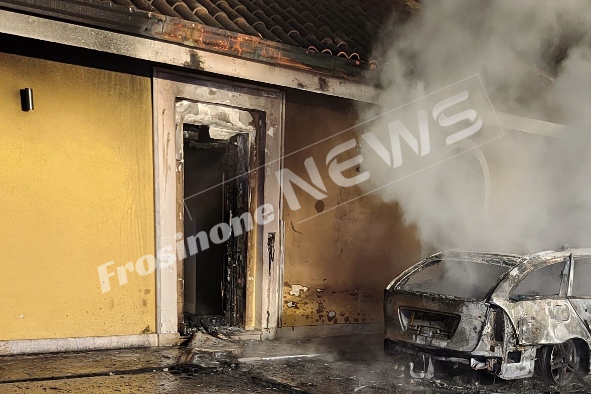 177ed7a5-5758-4a54-b31f-ea45645575b3